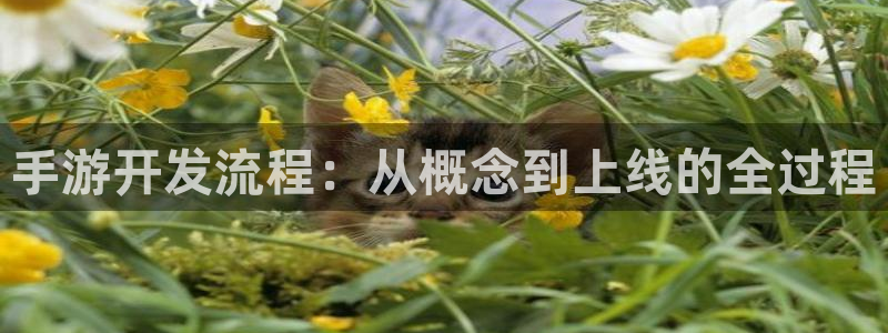 蓝图娱乐开奖查询：手游开发流程：从概念到上线的全过程