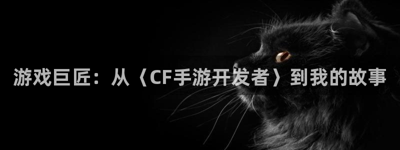 28大神怎么上不去了：游戏巨匠：从〈CF手游开发者〉到我的故