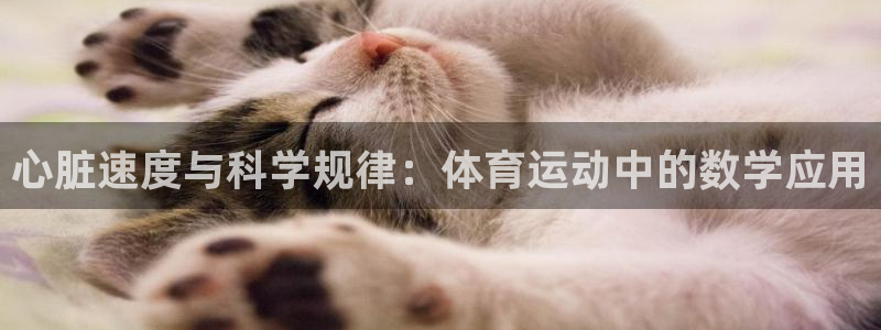 vsport体育在线官网