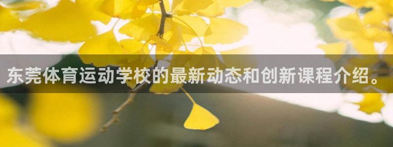 vsport体育在线官网