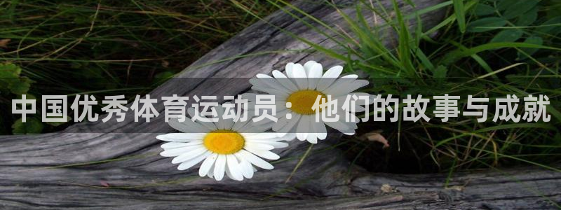vsport体育在线官网