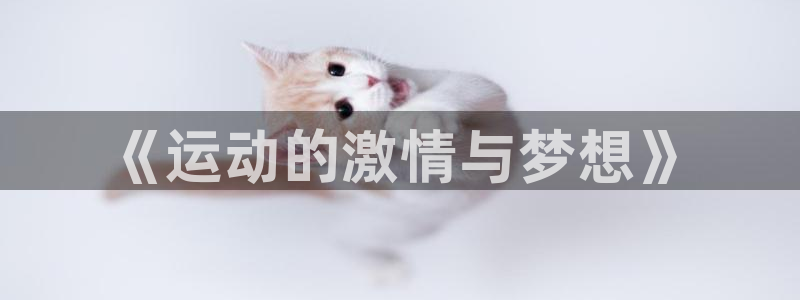 vsport体育