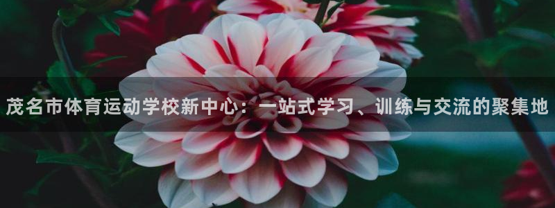 vsport体育在线官网