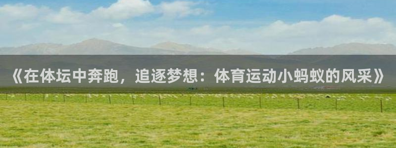 vsport体育在线官网