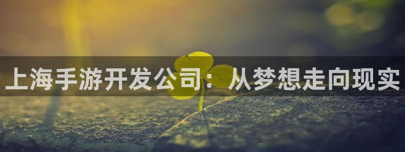 蓝图娱乐开奖官网下载：上海手游开发公司：从梦想走向现实
